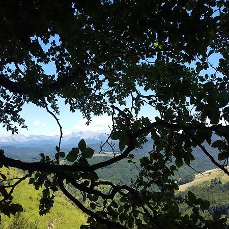 Xandua Etxea - Selva De Irati - Villa Izalzu Luaran gambar